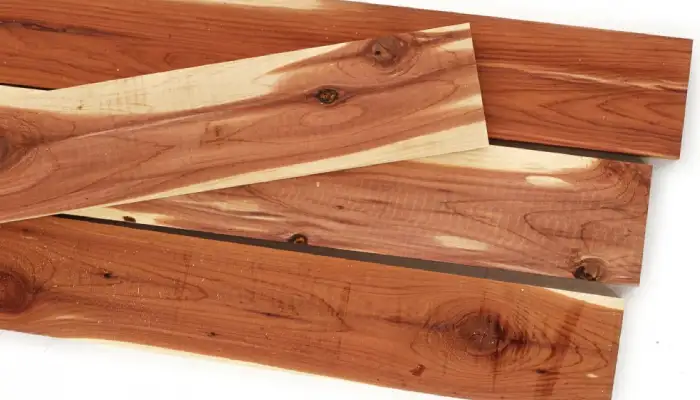 jenis kayu cedar