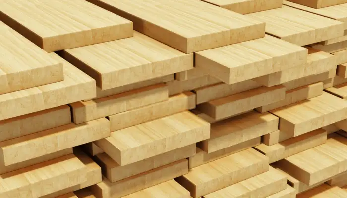 jenis kayu pinus