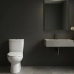 kamar mandi wc duduk gaya modern hitam elegan